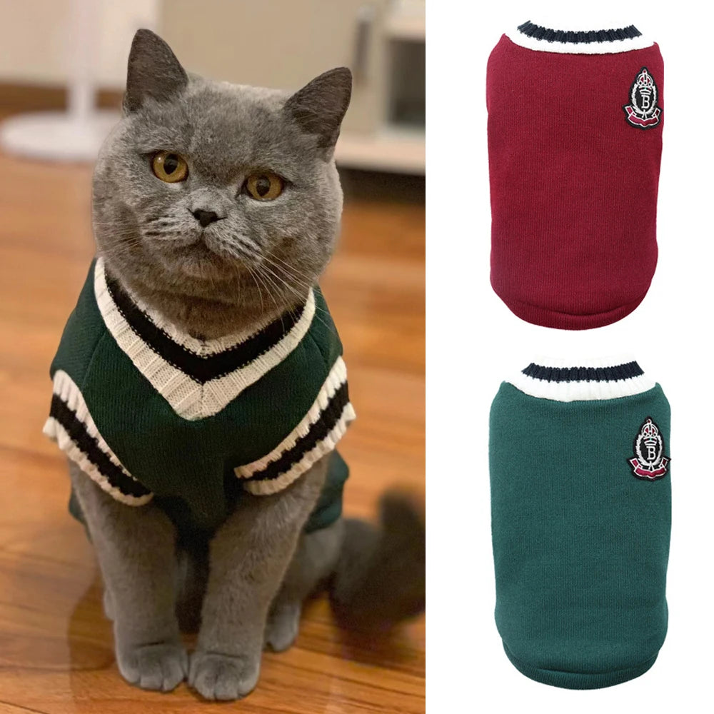 Cat School Boy Jersey