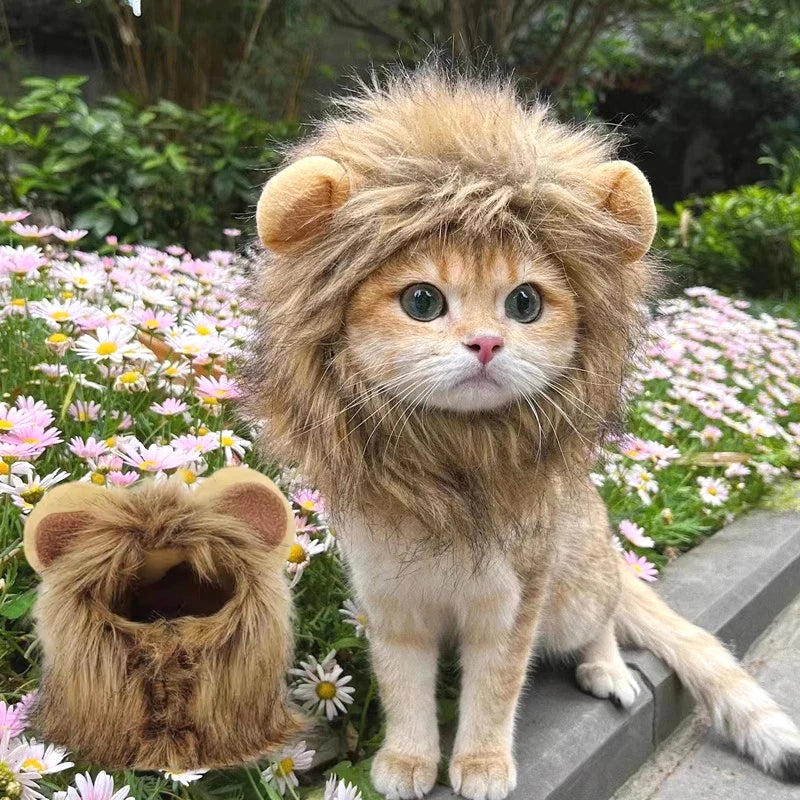 Cat Lion Hat