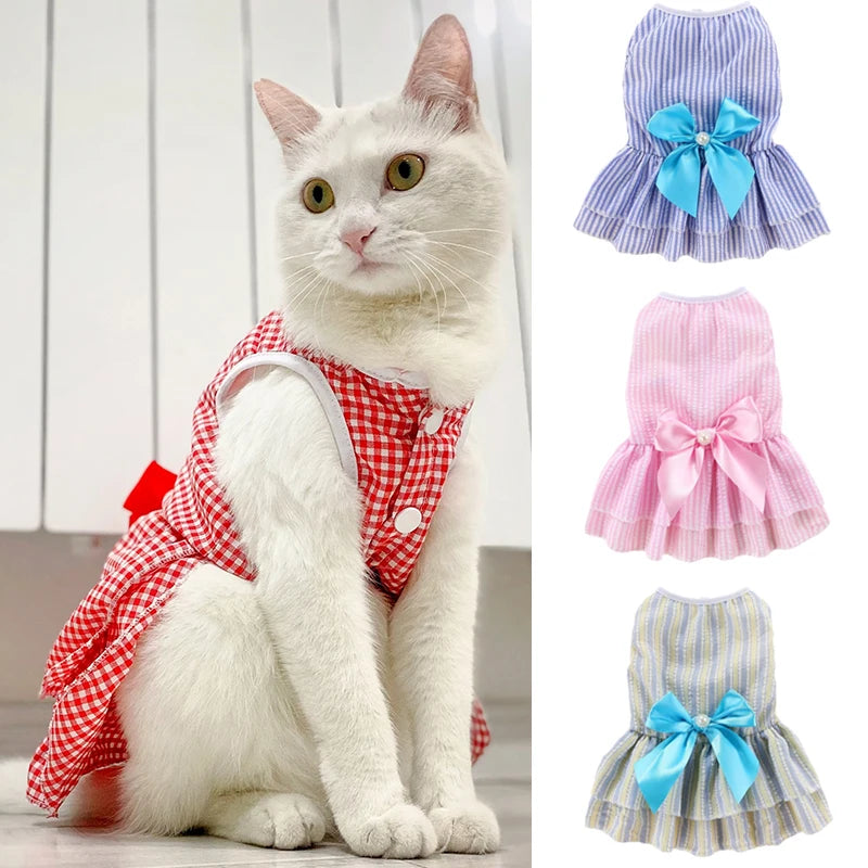 Cat Princess Dress