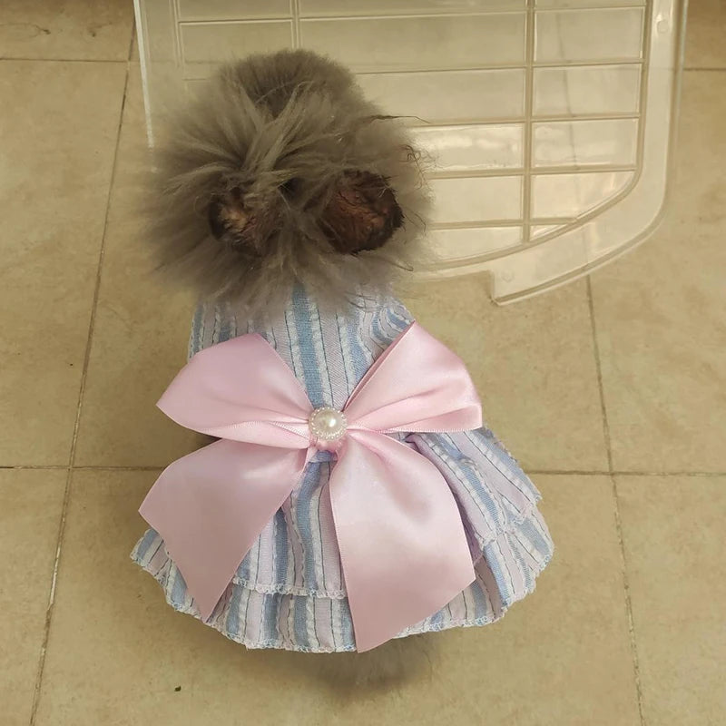 Cat Princess Dress