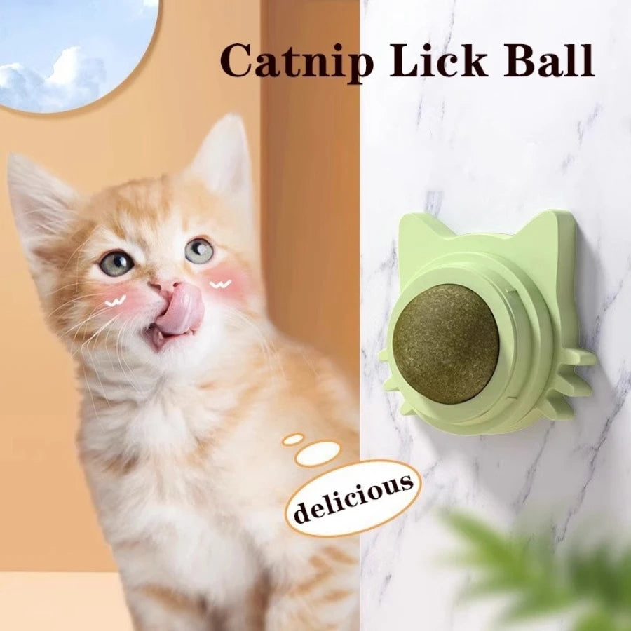 Catnip Lick Ball