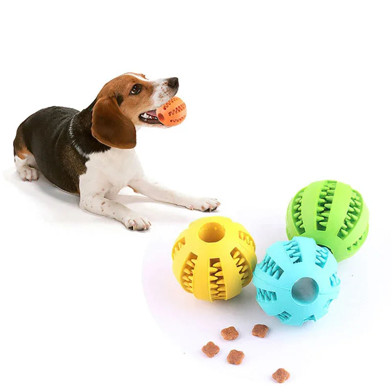 Dogs Ball Interactive Toy